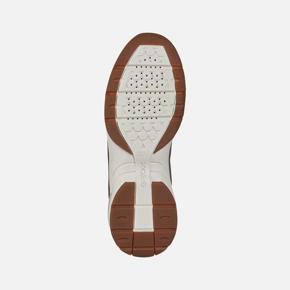 Tenis Geox Senhora Bege Escuro - Alhour - FRNPA0254